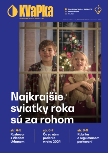 KVaPka: december 2024